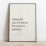 Adopt the pace of nature