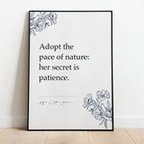 Adopt the pace of nature